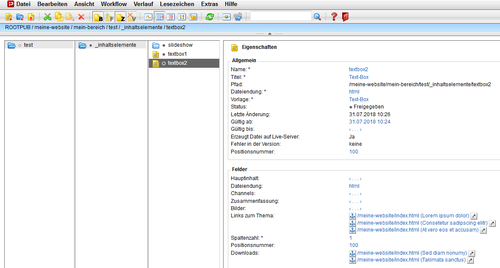 Abb. 9 Eine Text-Box erstellen