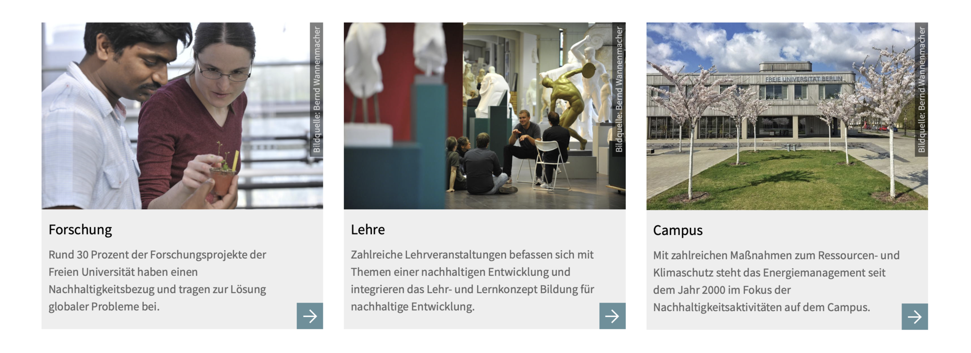 Aufmacherboxen auf der Webseite der Stabsstelle Nachhaltigkeit und Energie